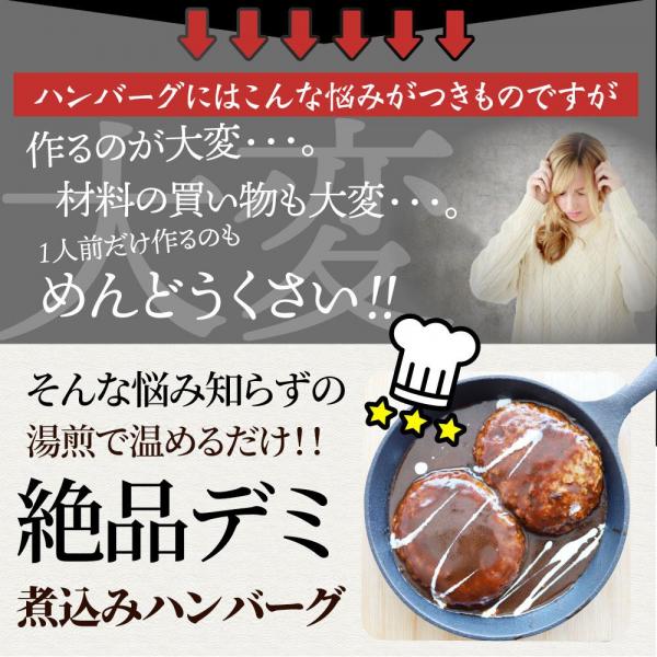 しゃぶまる やわらか 煮込みハンバーグ 濃厚デミソース 20食（3kg）