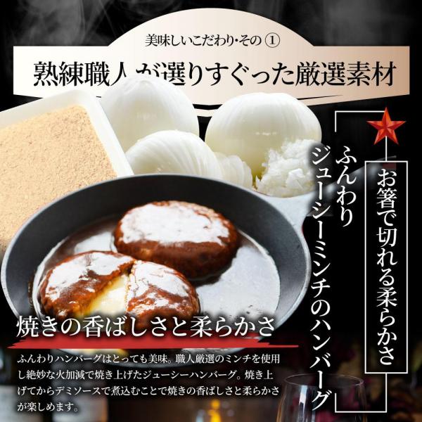 しゃぶまる やわらか 煮込みハンバーグ 濃厚デミソース 20食（3kg）