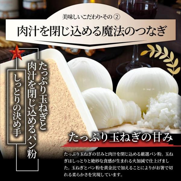 しゃぶまる やわらか 煮込みハンバーグ 濃厚デミソース 20食（3kg）