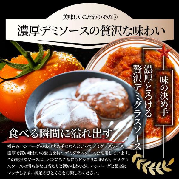 しゃぶまる やわらか 煮込みハンバーグ 濃厚デミソース 20食（3kg）
