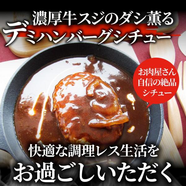 しゃぶまる デミハンバーグシチュー 濃厚牛ダシデミが薫る 温めるだけの簡単調理 （4.4kg（220g×20））