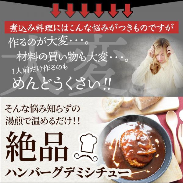 しゃぶまる デミハンバーグシチュー 濃厚牛ダシデミが薫る 温めるだけの簡単調理 （4.4kg（220g×20））