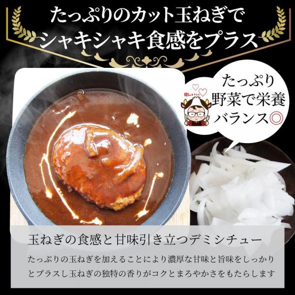 しゃぶまる デミハンバーグシチュー 濃厚牛ダシデミが薫る 温めるだけの簡単調理 （4.4kg（220g×20））