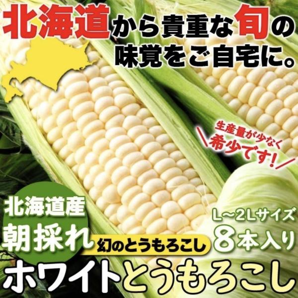 【期間限定】朝採り北海道産ホワイトとうもろこし［L~2Lサイズ］ 1ケース（8本入り）
