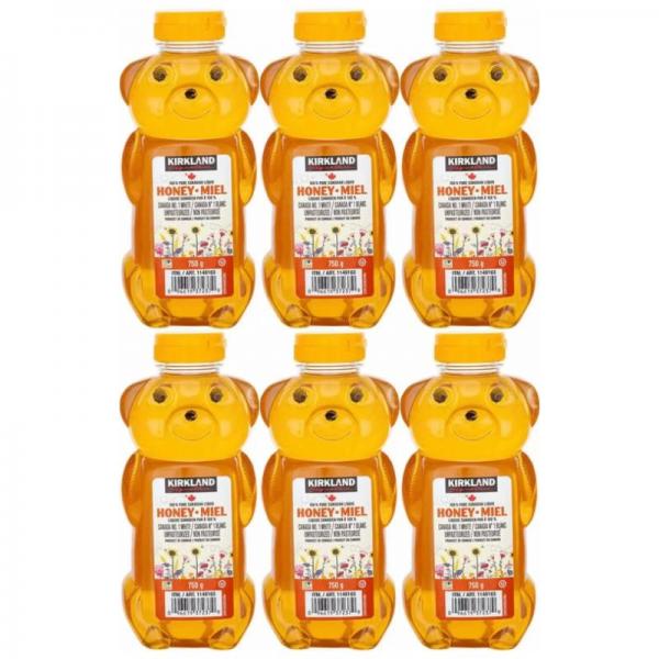 カークランド はちみつ ベアージャグ 750g 6本セット