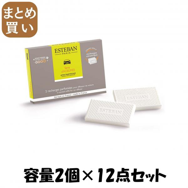 【まとめ買い】テールダグリューム カーフレグランスリフィル2個入 容量2コ×12点セット 日本香堂   芳香剤・車用 24,219円