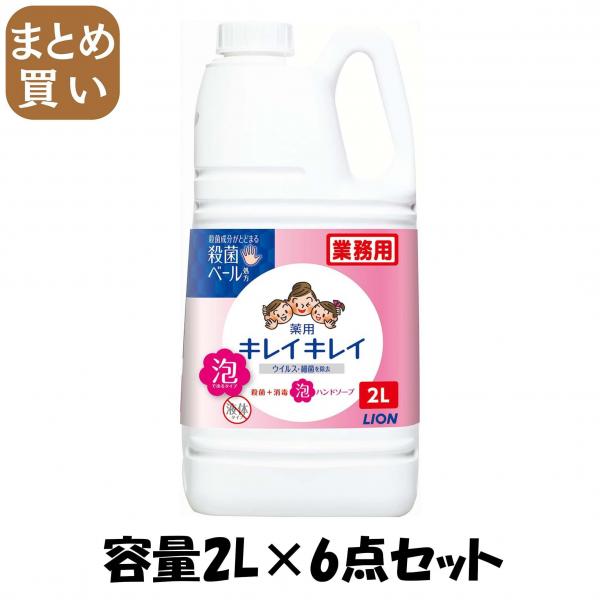 【まとめ買い】キレイキレイ泡ハンドソープ 2L 容量2L×6点セット ライオンハイジーン   ハンドソープ