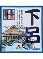 【10点セット】 薬用入浴剤 名湯百景 下呂(岐阜県)日本製 sangobath