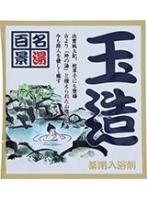 【10点セット】 薬用入浴剤 名湯百景 玉造(島根県)日本製 sangobath