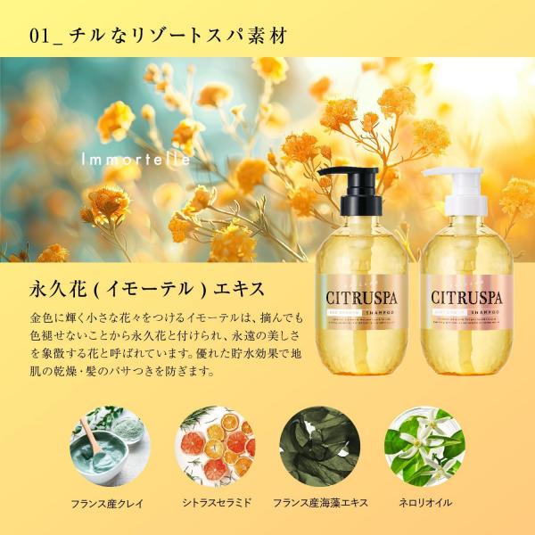 【まとめ買い】シトラスパ エアリー＆モイスト トリートメント レフィル  容量400ML×24点セットコンディショナー・リンス