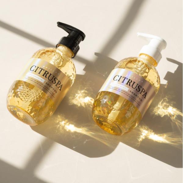 【まとめ買い】シトラスパ エアリー＆モイスト トリートメント レフィル  容量400ML×24点セットコンディショナー・リンス