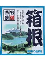 【10点セット】 薬用入浴剤 名湯百景 箱根(神奈川県)日本製 sangobath
