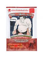 【10点セット】 薬用入浴剤 にほんのおふろ 熱・何部屋?って聞かれたくないとき 日本製 sangobath