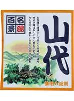 【10点セット】 薬用入浴剤 名湯百景 山代(石川県)日本製 sangobath
