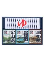 【12点セット】 薬用入浴剤 名湯百景 ギフトセット 9包+タオル入 GMT-15 日本製