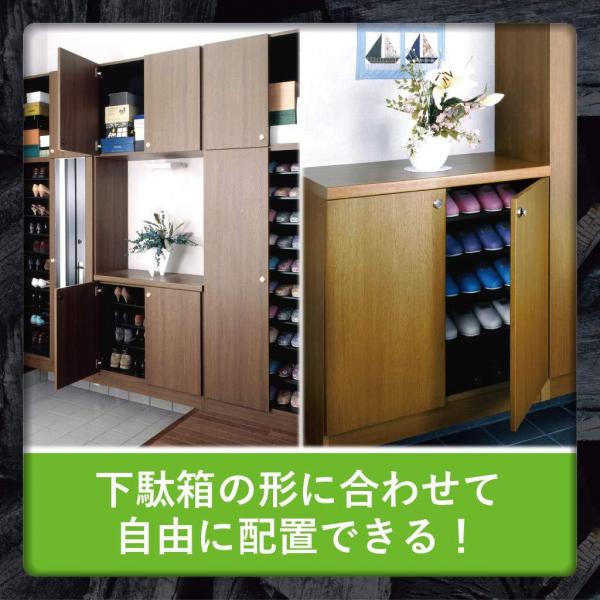 【まとめ買い】エステー 脱臭炭こわけ下駄箱用