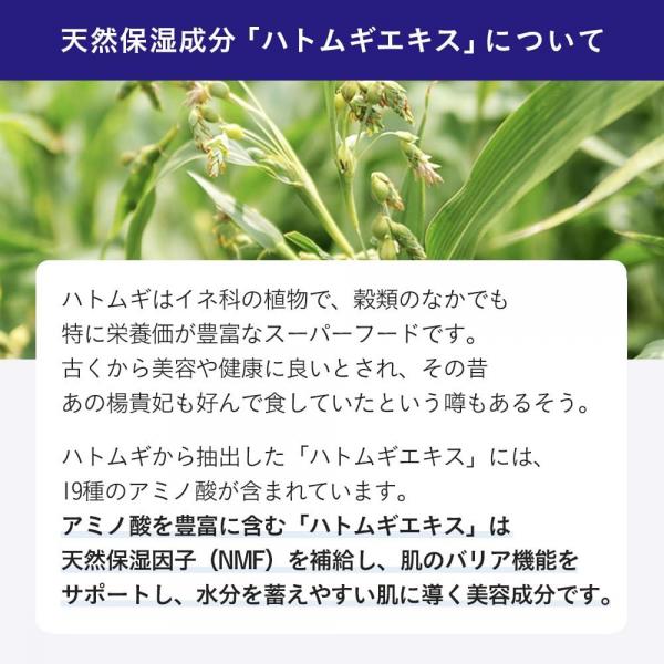 【まとめ買い】ナチュリエ スキンコンデショナー ハトムギ化粧水 500ml 容量500ML×18点セット イミュ