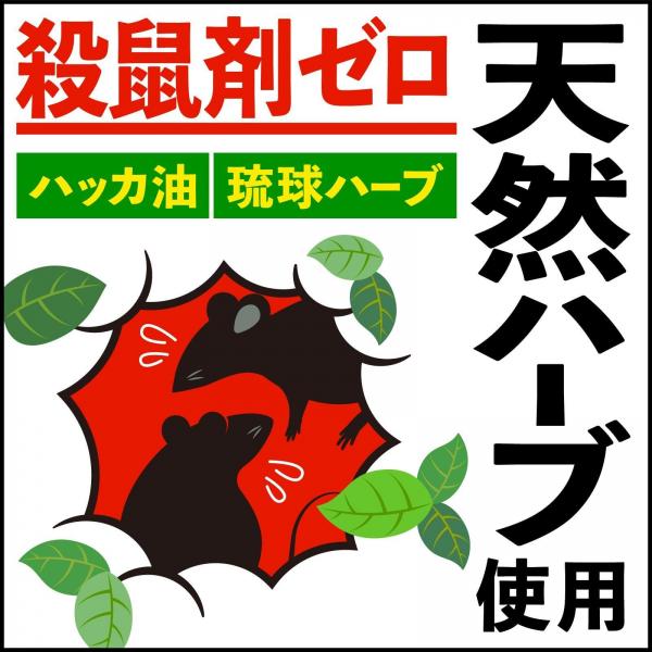 【まとめ買い】ネズミ一発退場 （くん煙タイプ） 容量10G×20点セット アース製薬   殺虫剤・ネズミ