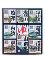 【6点セット】 薬用入浴剤 名湯百景 ギフトセット 24包+タオル入 GMT-30 日本製