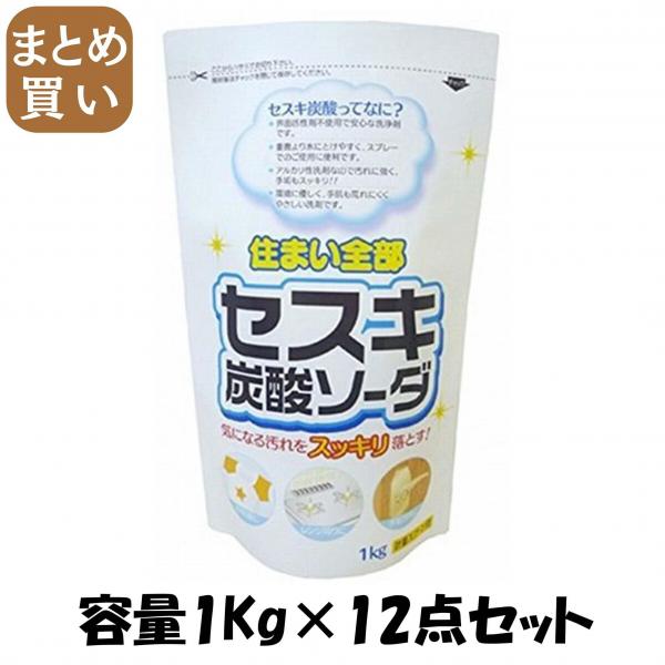【まとめ買い】セスキ炭酸ソーダ 大 容量1KG×12点セット ロケット石鹸   食器用洗剤・自然派