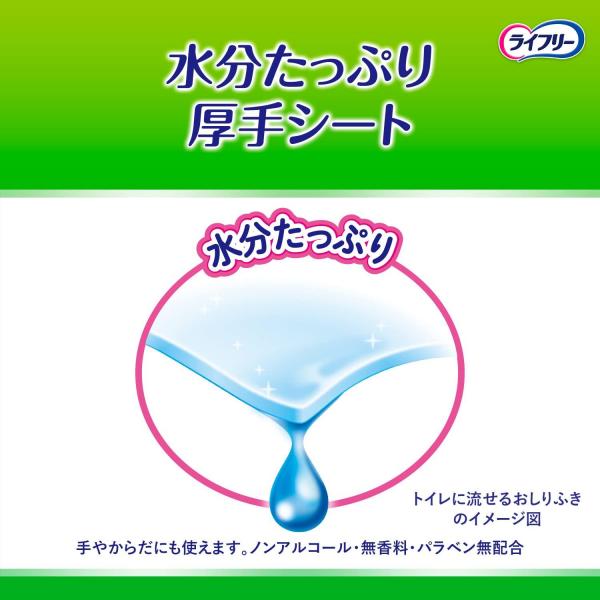 【まとめ買い】ライフリーらくらくおしりふきトイレに流せる72枚×2 容量144マイ×6点セットおしりふき 【まとめ買い】ライフリーらくらくおしりふきトイレに流せる72枚×2 容量144マイ×6点セットおしりふき