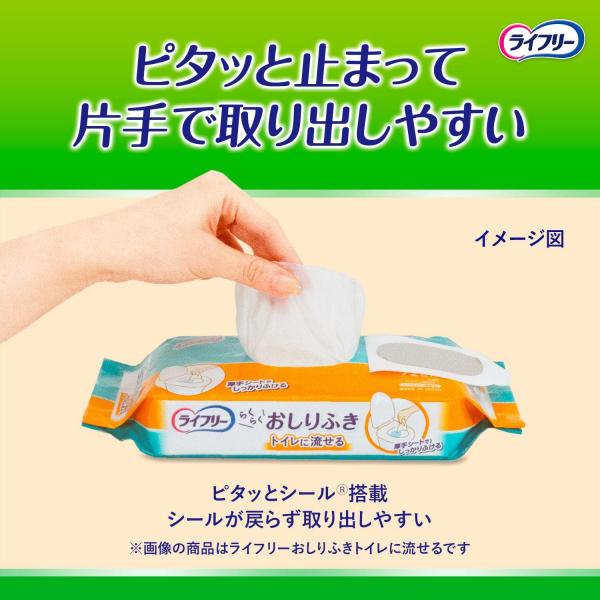 【まとめ買い】ライフリーらくらくおしりふきトイレに流せる72枚×2 容量144マイ×6点セットおしりふき 【まとめ買い】ライフリーらくらくおしりふきトイレに流せる72枚×2 容量144マイ×6点セットおしりふき