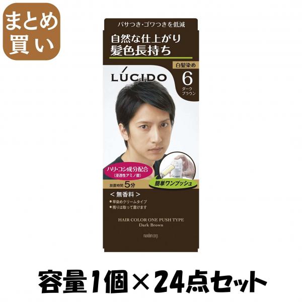 【まとめ買い】ルシード ワンプッシュケアカラー ダークブラウン （医薬部外品） 容量1コ×24点セット マンダム   ヘアカラー