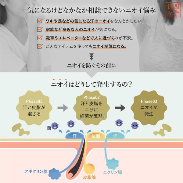 【まとめ買い】四季折々 薬用 柿渋 ボディソープ 本体 600ml 容量600ML×16点セット 熊野油脂   ボディソープ