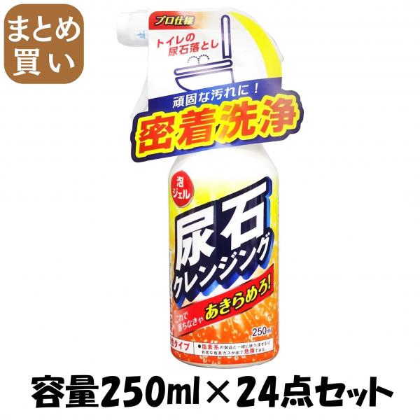【まとめ買い】Tipo’s 尿石クレンジング 250ml 容量250ML×24点セット 友和   住居洗剤・トイレ用