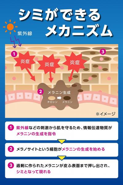 【まとめ買い】メンズケシミン乳液 容量110ML×24点セット 小林製薬 化粧品 【まとめ買い】メンズケシミン乳液 容量110ML×24点セット 小林製薬 化粧品