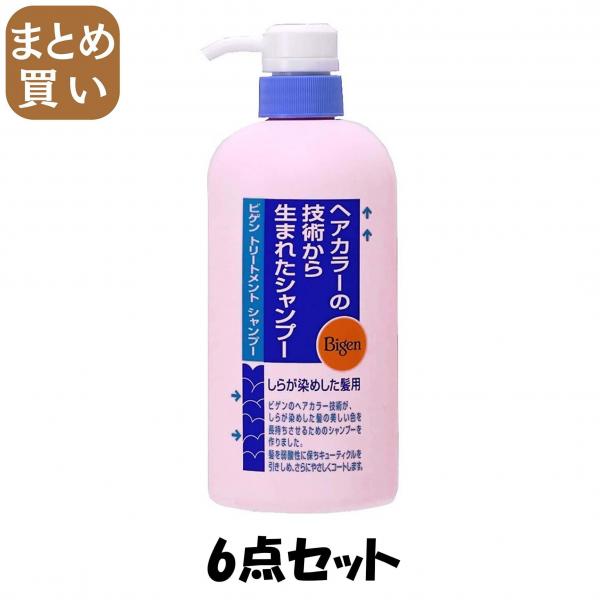 【まとめ買い】ホーユー ビゲン トリートメントシャンプー600ML