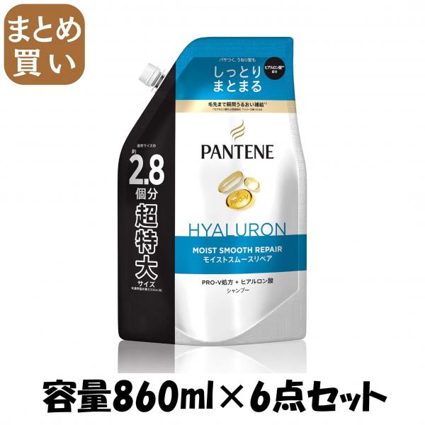 【まとめ買い】パンテーン モイストスムースケア シャンプー つめかえ超特大サイズ 容量860ML×6点セットP＆G シャンプー