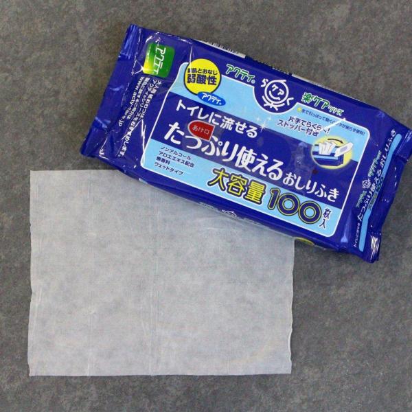【まとめ買い】アクティトイレに流せるおしりふき100枚 容量100枚×24点セット 日本製紙クレシア   おしりふき