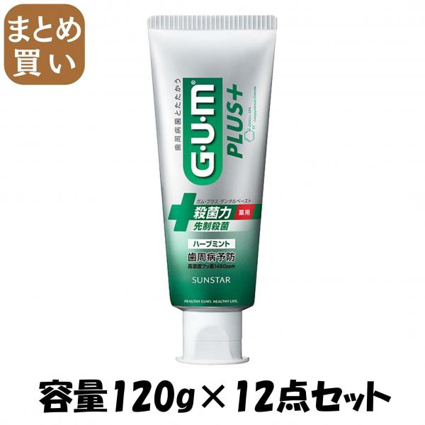 【まとめ買い】ガム GUM プラス デンタルペースト ハーブミント 120g 容量120G×12点セット サンスター   歯磨き