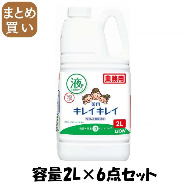 【まとめ買い】業務用キレイキレイハンドソープ2L 容量2L×6点セット ライオンハイジーン   ハンドソープ