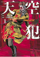 天空侵犯